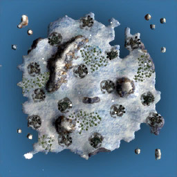 Antarcticus - Medium (M) : 15 countries